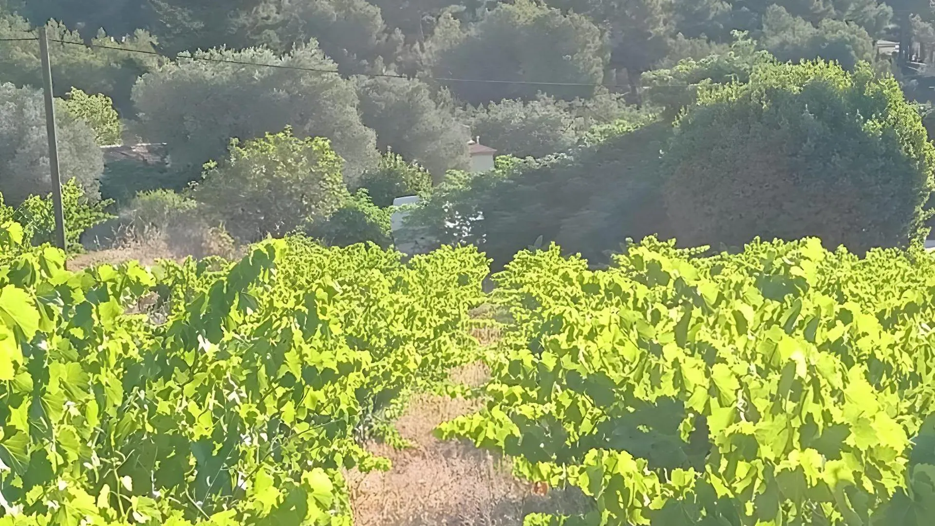 La Naronne Villa Bandol